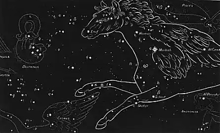 19pegasus